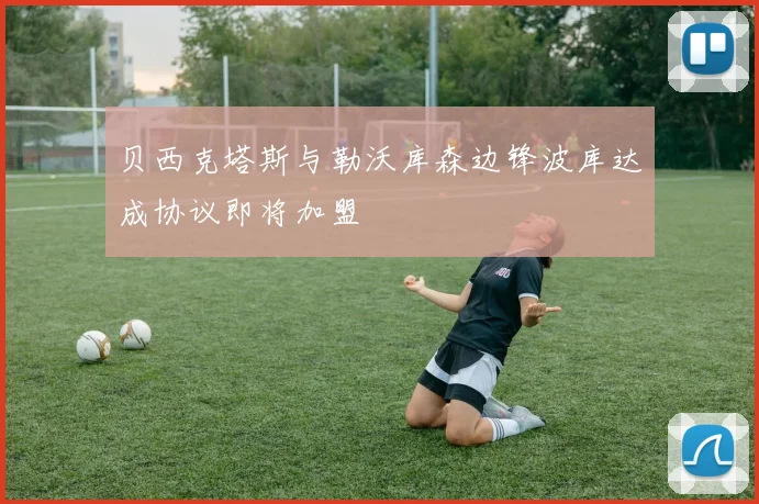 贝西克塔斯与勒沃库森边锋波库达成协议即将加盟